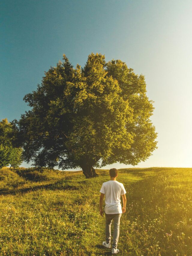 Benefits of walking you must know